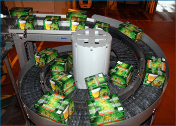 Ryson Dual Spiral Conveyor